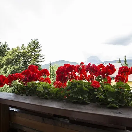 Am Sonnweg Seefeld in Tirol