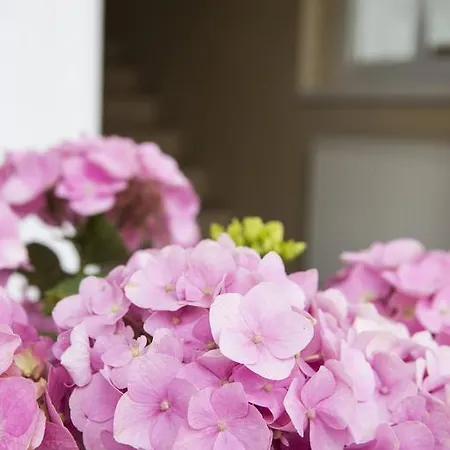 Am Sonnweg Apartmán *