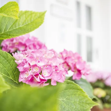 Am Sonnweg Apartmán Seefeld in Tirol